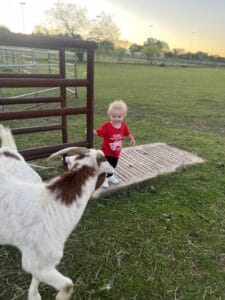 Interactive Petting Zoo Parties 24Animal%Rescue