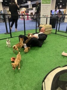 Interactive Petting Zoo Parties 27Animal%Rescue