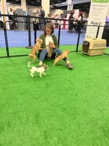 Interactive Petting Zoo Parties 28Animal%Rescue